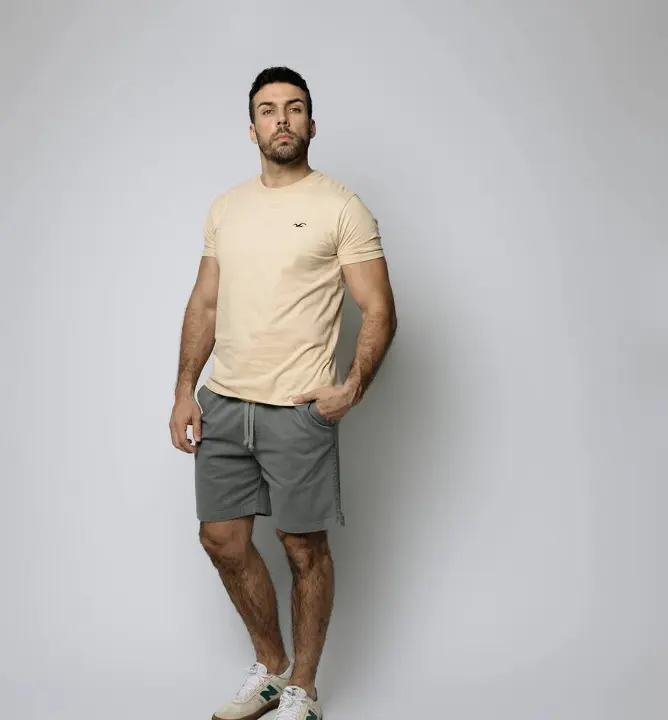 Remera Hollister Regular Fit Beige
